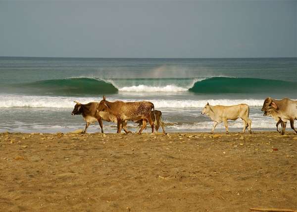 ISA World Masters Surfing Championship chooses Playa Colorado in Hacienda Iguana’s to host the competition