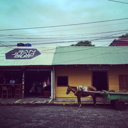 Horses in Nicaragua - San Juan Del Sur