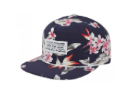 hat